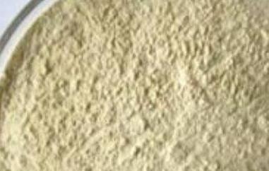 白芸豆粉的功效与作用 白芸豆粉的功效与作用减肥