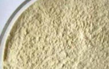 白芸豆粉的功效与作用 白芸豆粉的功效与作用及食用方法