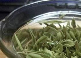 溧阳白茶的功效与作用 溧阳白茶的功效与作用及禁忌