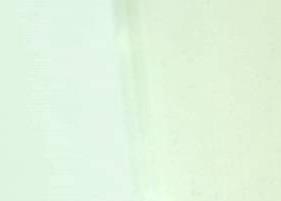 如何泡毛尖茶（如何泡毛尖茶才好喝）