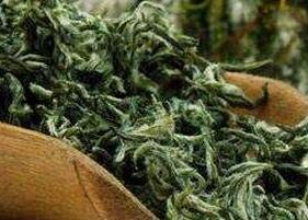 白毛尖茶的图片 白毛尖茶的图片高清