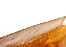 黑茶减肥 黑茶减肥多久可以见效