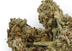 密蒙花茶功效与作用（密蒙花的功效与作用及禁忌的功效与作用）