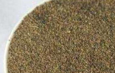 芹菜籽粉的功效与作用 芹菜籽粉的功效与作用及芹菜籽粉能降尿酸吗食用方法