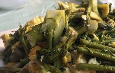 苦乐芽的作用与功效（苦乐芽的吃法）