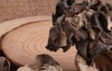 巴楚蘑菇的功效和作用 新疆巴楚蘑菇功效
