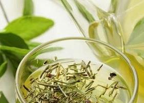 哪些茶含有茶多酚 哪些茶含有茶多酚多