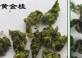 绿茶与青茶的区别（青茶与绿茶有何区别）