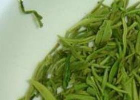 毛尖茶怎么泡（信阳毛尖茶怎么泡）