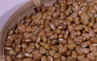 巴山豆和赤小豆的区别 赤小豆是巴豆吗