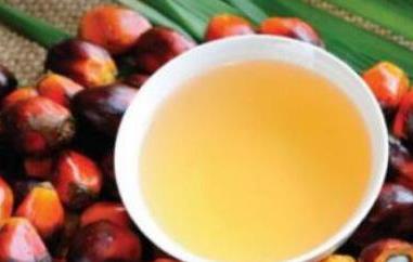 棕榈油的功效与作用及副作用 棕榈油的功效与作用及副作用禁忌