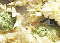 黄山贡菊的功效与作用 黄山贡菊的功效与作用及禁忌