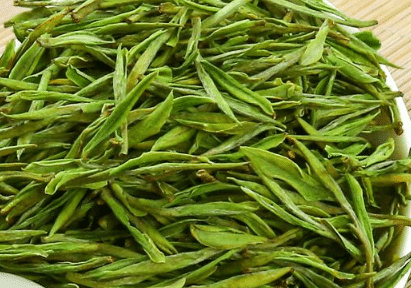 安吉白茶的种植技术要点 安吉白茶种植方法总结