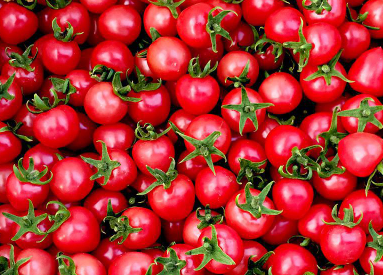 樱桃番茄根结线虫病，防治方法有哪些