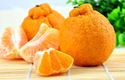 丑橘盆栽如何养护 关键方法有哪些