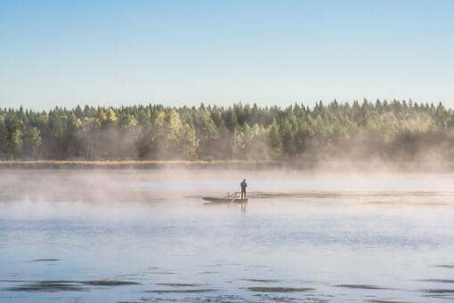 2021休渔期什么时候开始什么时候结束 2020休渔期什么时候开始什么时候结束