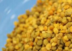 荞麦花粉的功效与作用 荞麦花粉的功效与作用及禁忌
