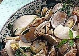 花蛤壳的功效与作用（花蛤的功效和作用及食用方法）