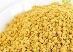 油菜花粉的功效与作用及禁忌 油菜花粉的功效与作用及食用方法和副作用