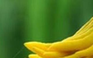 佛手柑的功效与作用（佛手柑的功效与作用吃法）