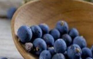 杜松子和杜松浆果的区别（杜松莓和杜松浆果）