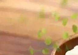 椴树蜜的作用与功效 百花蜜的作用与功效