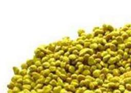 油菜花粉的功效与作用及食用方法（油菜花粉的功效与作用及食用方法禁忌）