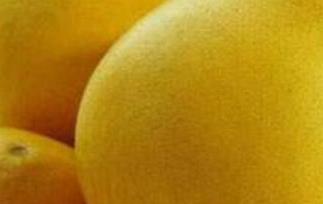 文旦和柚子的区别 水果文旦和柚子的区别