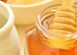 益母草蜜的功效与作用 益母草蜜的功效与作用及禁忌症