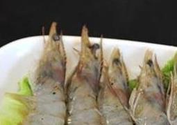 明虾壳的营养价值 硬壳虾的营养价值