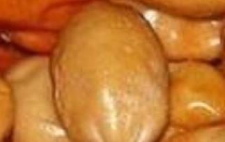 沙枣怎么吃（新疆沙枣怎么吃）