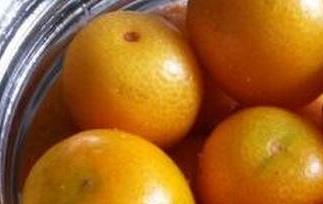 盐渍金桔怎么腌 盐渍金桔怎么腌制好吃