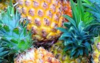 菠萝和凤梨的区别 菠萝和凤梨的区别图片