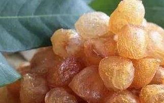 分享龙眼肉的功效与作用 分享龙眼肉的功效与作用是什么