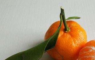 芦柑和橘子的区别（芦柑和橘子的区别在哪里）