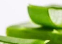 芦荟胶怎么用好 芦荟胶怎么用好用