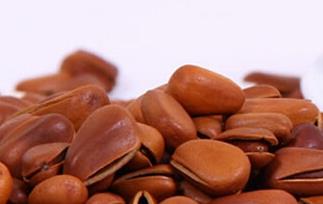 吃松仁好吗（吃松仁好处）