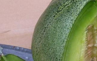 绿宝香瓜的营养价值 绿宝香瓜的功效