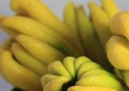 佛手柑精油的功效与作用 佛手柑精油的功效与作用点