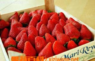 怎么识别草莓是不是激素打的 怎么看草莓有没有打激素