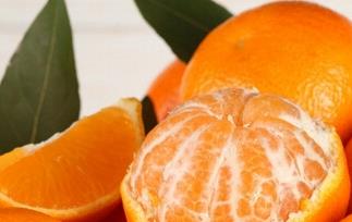橘子跟桔子有什么区别（桔子和橘子有何区别）