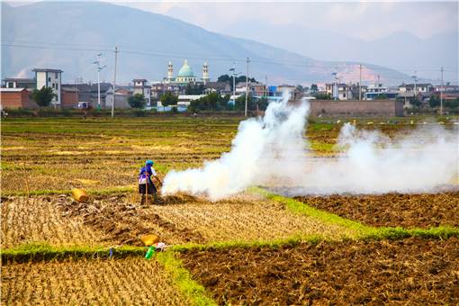 农业标准地是什么意思 标准地什么意思