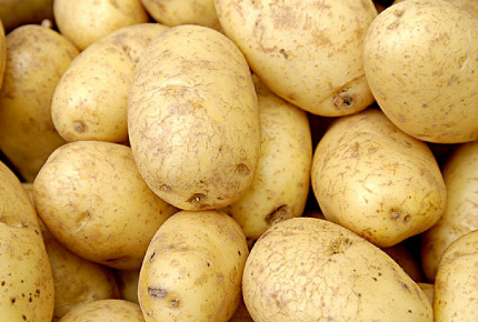 土豆早栽技术技巧，土豆怎么施肥（土豆的种植技术及施肥方法）