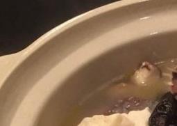 紫砂锅煲汤好吗 为什么紫砂锅炖汤很好吃