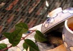 自制桂花酒的制作方法（自制桂花酒的制作方法窍门）