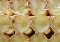 蜂王浆能保肝 蜂王浆能保肝降酶