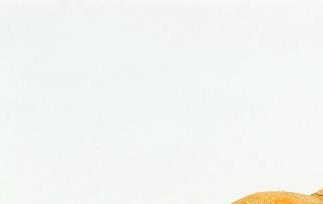 孕妇吃黑布林和枇杷（枇杷和黑布林可以一起吃吗）