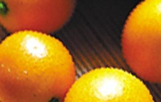 金橘的营养知识（金桔和橘子的营养区别）