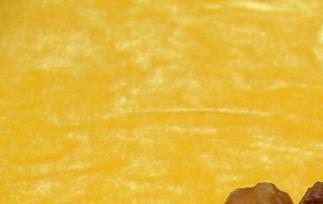 龙眼肉 龙眼肉是桂圆肉吗