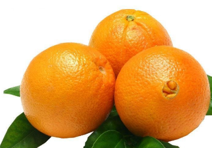 脐橙栽培管理技术，脐橙怎么种植（脐橙的种植技术）